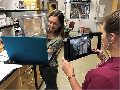 Scientist Online: Entomologists' Experiences Engaging With School Audiences Through Skype in the Classroom